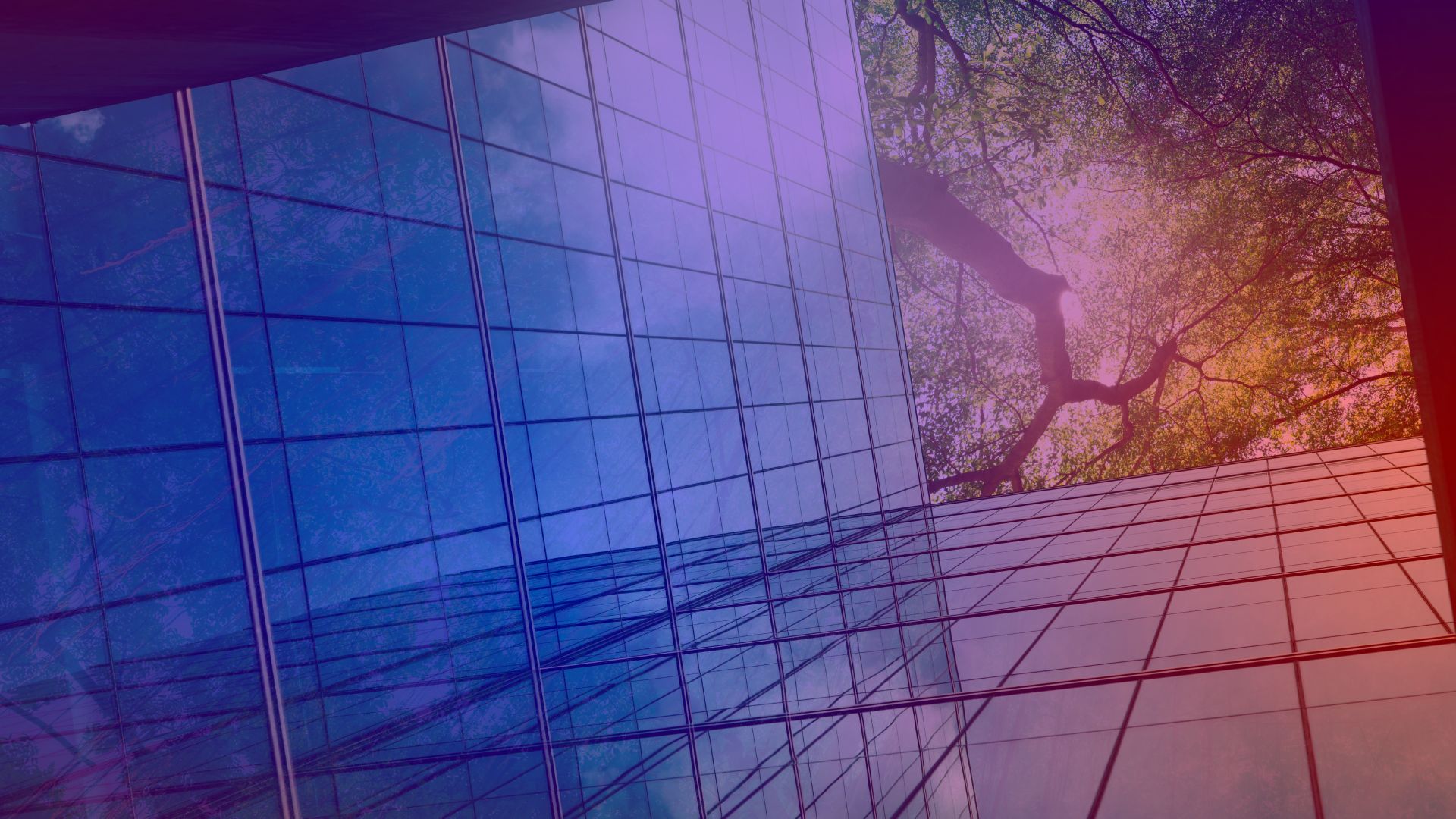 Sustainability at our trade show: a computer module with a tree growing from it